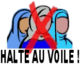 logo HALTE AU VOILE !, ptition CONTRE! le voile