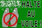 logo HALTE AU VOILE !, ptition CONTRE! le voile