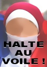logo HALTE AU VOILE !, ptition CONTRE! le voile