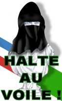 logo HALTE AU VOILE !, ptition CONTRE! le voile
